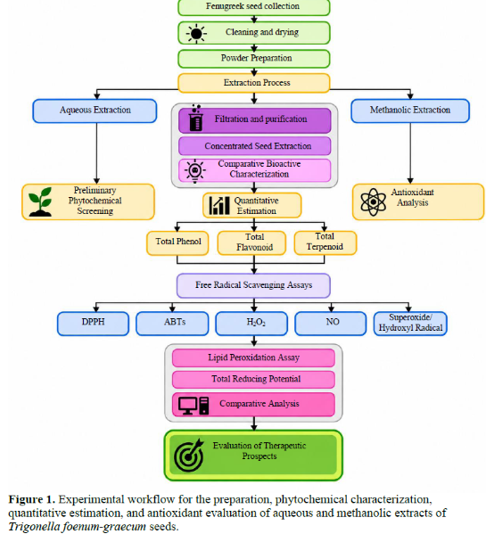 Therapeutic Prospects and Comparative Bioactive Evaluation of Fenugreek Seed Extracts 2 figures