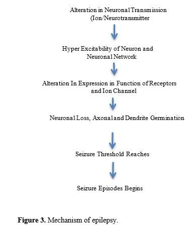 Therapeutic Potential of Plant-Derived Phytochemicals in Targeting Receptor Pathways Related to Non-Enzymatic Glycation: A Meta-Analysis 4 figures