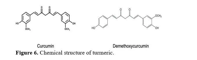 A Review Article on Spice up the Solution of Inflammation Through Phytomedicines 7 figures
