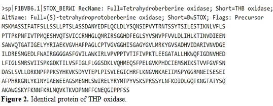 InSilico Analysis and Homology Modeling of Tetrahydroprotoberberine Oxide involved in the Berberine Biosynthesis 3 figures
