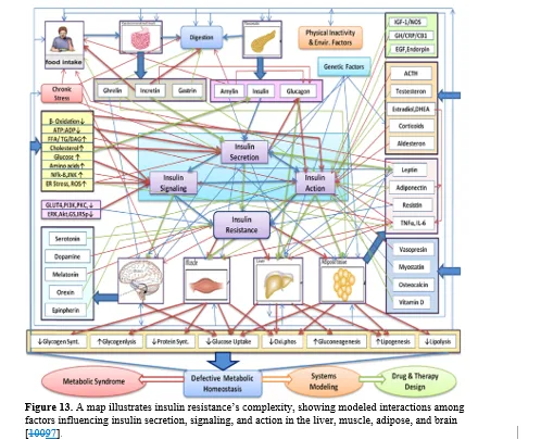 Introduction to Biological Networks and their Contributions to Systems Biology 14 figures