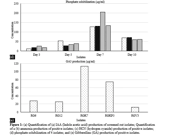Stimulation of Plant Growth Promoting Rhizobacteria with ZnO Nanoparticles to Improve Growth and Development of Groundnut Plants (Arachis Hypogaea L.) 5 figures