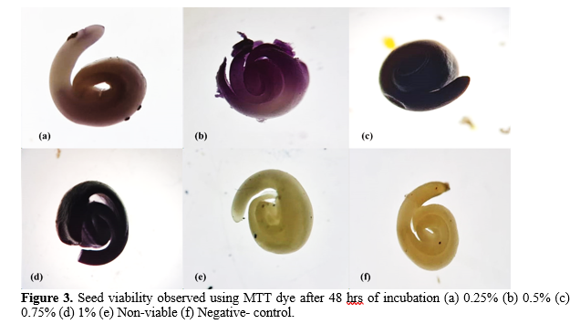 Optimization of Seed Viability Tests for Humulus lupulus 4 figures