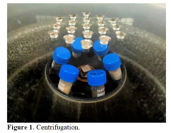 Development of a Plant-Derived Bacteriological Culture Medium as an Alternative to Conventional Nutrient Agar 2 figures