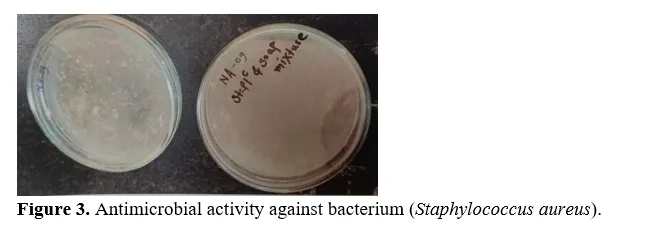 Evaluation of Bio-Based Polymer Composites Containing Guava Leaf Extract for Antimicrobial Functionality 4 figures