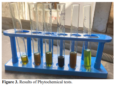 Exploring the properties and extraction of neem leaves 4 figures