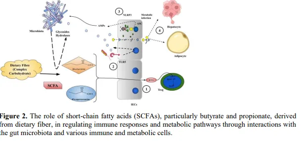 Gut Microbiome Dysbiosis During Metabolic Disorders: Diabetes 3 figures