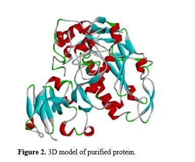 Exploring Azadirachta indica’s Potential to Combat Visceral Leishmaniasis Through GP63 Inhibition 3 figures