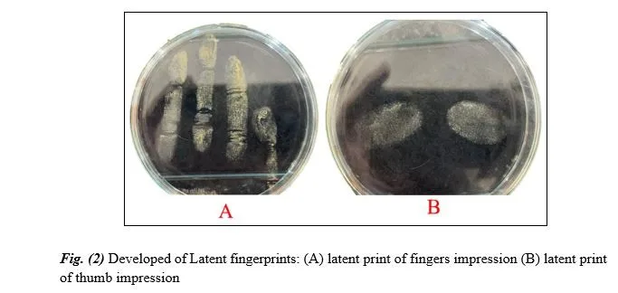 Latent Fingerprint Development via Green Synthesis of PbO Nanoparticles Using Helianthus (Sunflower) Extract 3 figures