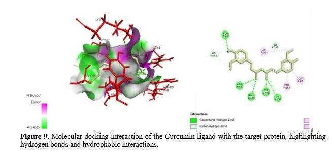 In Silico Analysis and Molecular Docking Studies of COX-2 Inhibitors for Anti-Inflammatory Activity 10 figures