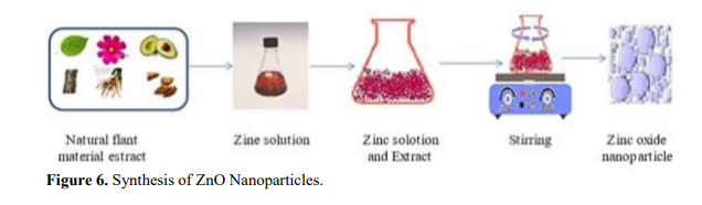 Zinc Oxide Nanoparticles from Murayya koenigii: Antibacterial Potential Review 7 figures