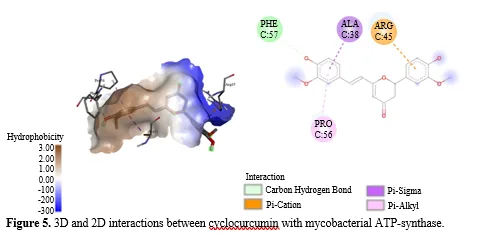 Molecular Docking Studies for the Identification of Mycobacterial Adenosine Triphosphate (ATP) Synthase Inhibitors Using Active Phytocompounds from Plants Curcuma longa, Curcuma zedoaria and Galipea officinalis 6 figures