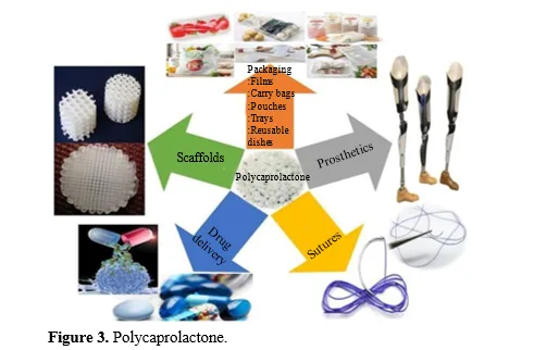 Eco-Friendly Innovations: A Review of 3D Printing with Biodegradable Filaments. 4 figures