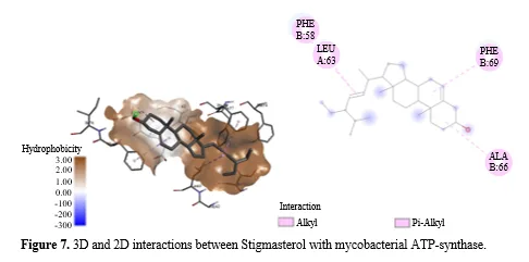 Molecular Docking Studies for the Identification of Mycobacterial Adenosine Triphosphate (ATP) Synthase Inhibitors Using Active Phytocompounds from Plants Curcuma longa, Curcuma zedoaria and Galipea officinalis 8 figures