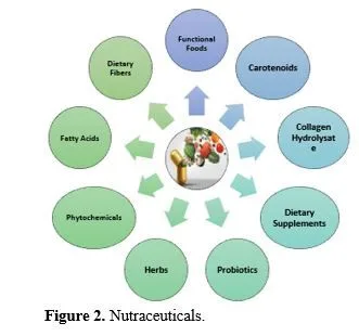 The Therapeutic Potential of Nutraceutical in Diabetes Management: A Comprehensive Review 3 figures