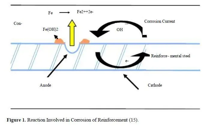 Service Life Enhancement: Exploring the Effects of Supplementary Cementitious Materials on RC Structures in Marine and Urban Contexts 2 figures