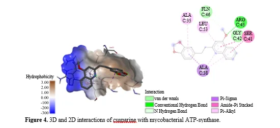 Molecular Docking Studies for the Identification of Mycobacterial Adenosine Triphosphate (ATP) Synthase Inhibitors Using Active Phytocompounds from Plants Curcuma longa, Curcuma zedoaria and Galipea officinalis 5 figures