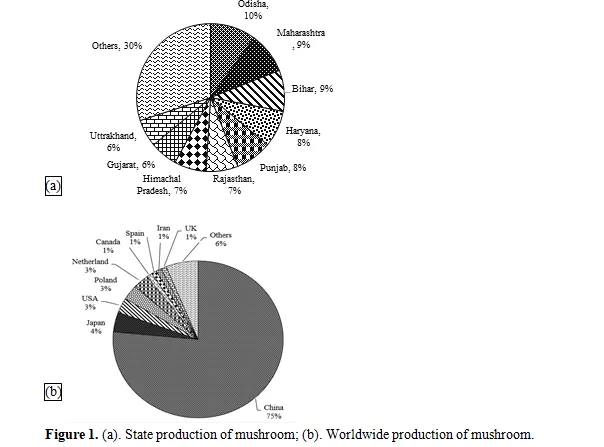 An illustration of review on Morphology and Medicinal aspects of Mushroom Cultivated worldwide 2 figures