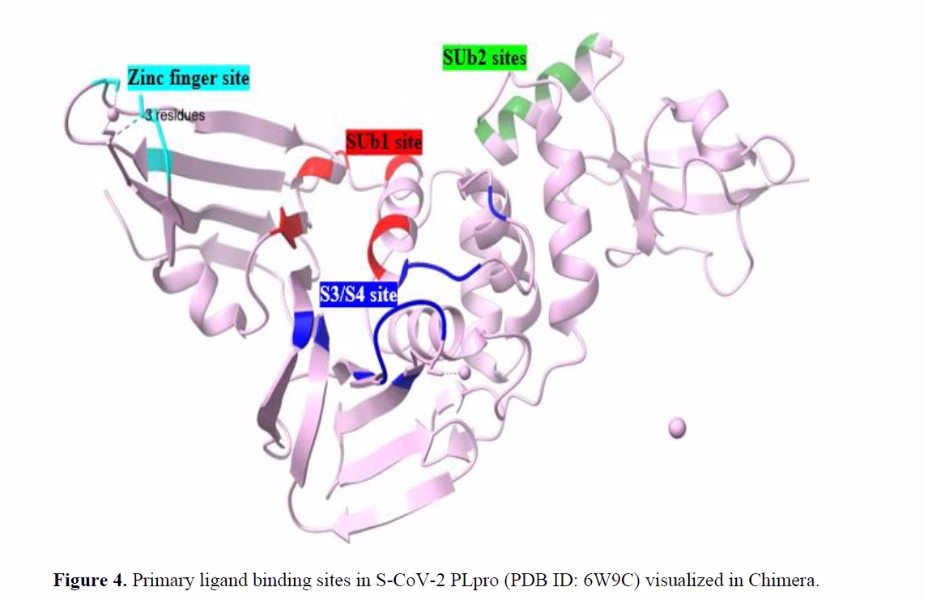 Targeting Papain-Like Protease of Re-Emerging Coronaviruses 5 figures
