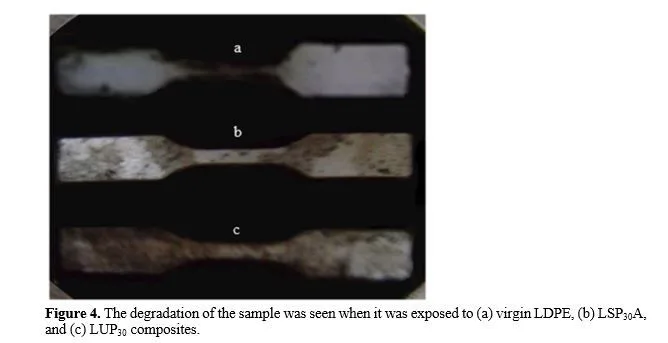 Study of the Properties and Destructibility of the Native and Cross-Linked Potato Starch-Filled Polymer Composites for Food Packaging Applications 5 figures
