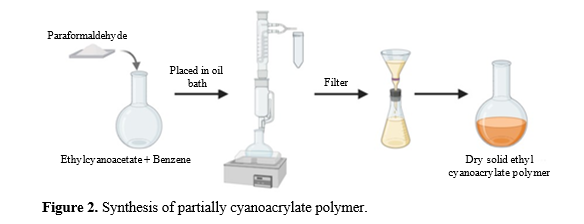 Chemical Modifications of Polymer for Improved Anti-Microbial Action 2 figures
