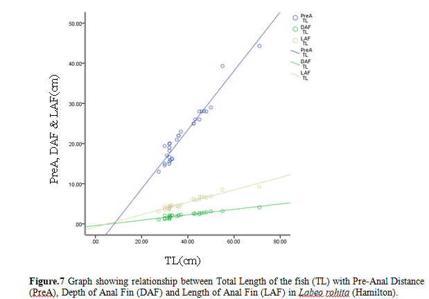 Studies On The Length-Weight Relationship And Morphometric Characteristics of Rohu, Labeo Rohita (Hamilton) From Pond In Radhamohanpur, Jirania, Tripura, India 8 figures