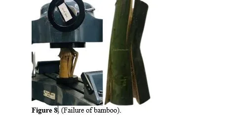 Analysis of Bamboo Strength for Structural Material 9 figures