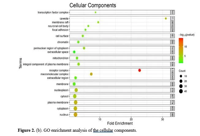 Integrating Network Pharmacology and Molecular Docking to Investigate Boerhavia diffusa for Pancreatic Cancer Treatment 3 figures