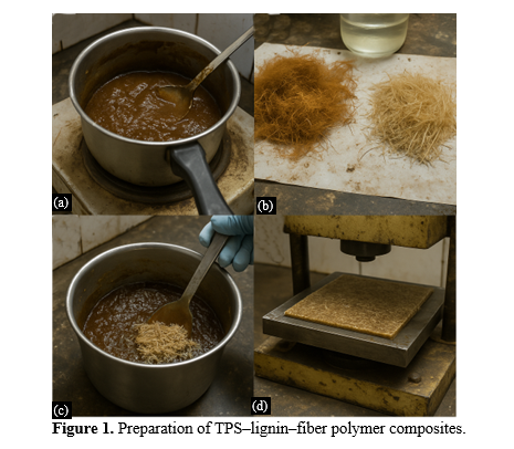 Bio-Derived TPS–Lignin Hybrid Composites Reinforced with Modified Coir and Plantain Fibers for Eco-Efficient Structural Applications 2 figures