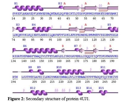 Anti-hyperglycemia Effects of Plant Secondary Metabolites Towards PKA/CREB Pathway Activation in Diabesity 8 figures