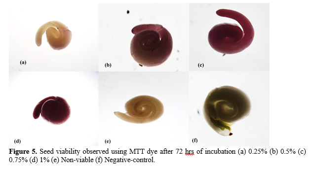 Optimization of Seed Viability Tests for Humulus lupulus 6 figures