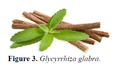 Formulation And Evaluation of Peel Off Mask From Custard Apple 4 figures