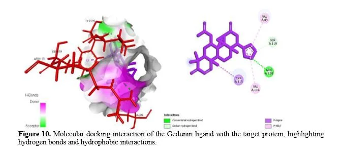 In Silico Analysis and Molecular Docking Studies of COX-2 Inhibitors for Anti-Inflammatory Activity 11 figures