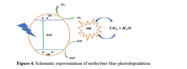 ZnO Nanostructure Shape Effects in Photocatalysis of Methylene Blue 5 figures