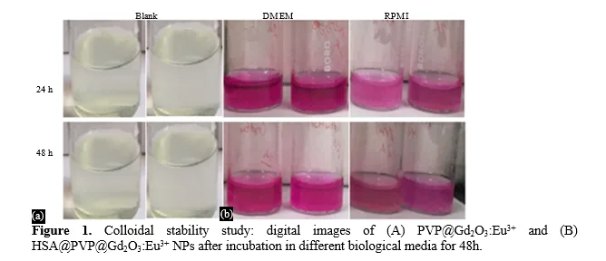 Experimental Evaluation of MDM@Gd2O3:Eu3+ and Protein@MDM@Gd2O3:Eu3+ Functional Nanomaterial 2 figures