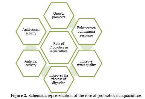 Application of Some Essential Bacterial Probiotics in Aquaculture: A Review 3 figures