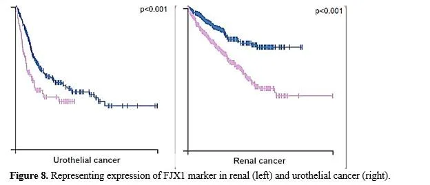 Gene Annotation of Cancer Vaccine for Homo sapiens 9 figures