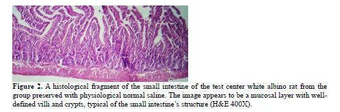 Histological Effects of Nano-Synthesized Particles of Nagilla Sativa Seeds Extract on Digestive System of Male Albino Mice 3 figures