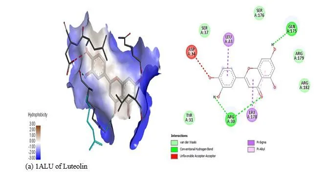 Computational Screening of Vitex negundo Compounds for Potential Arthritis Therapies in India 12 figures