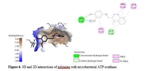 Molecular Docking Studies for the Identification of Mycobacterial Adenosine Triphosphate (ATP) Synthase Inhibitors Using Active Phytocompounds from Plants Curcuma longa, Curcuma zedoaria and Galipea officinalis 7 figures