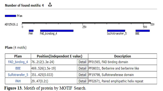 InSilico Analysis and Homology Modeling of Tetrahydroprotoberberine Oxide involved in the Berberine Biosynthesis 14 figures