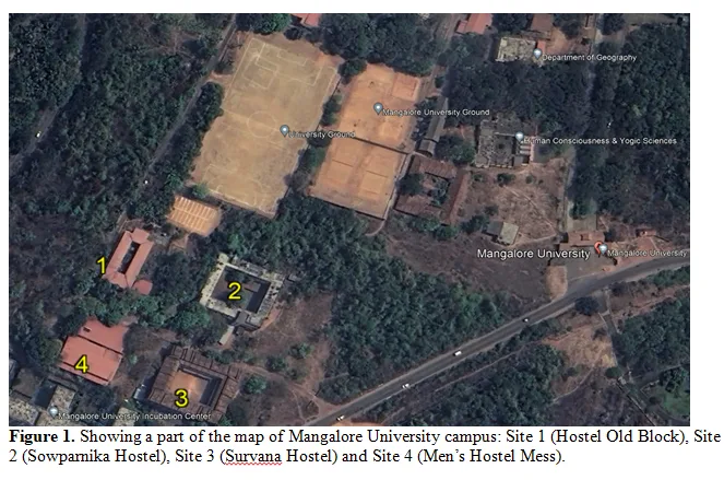 Exploring Moth Diversity in the Ecosystem of Mangalore University Campus, Karnataka 2 figures