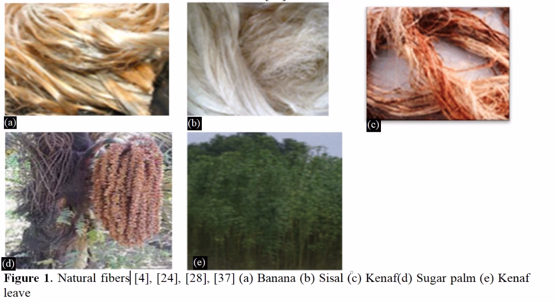 An Overview of Natural Fibers and Fillers Reinforced Polymer Composite Materials 2 figures
