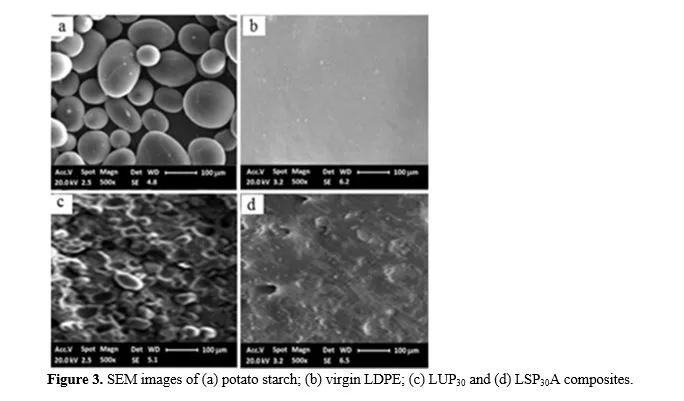 Study of the Properties and Destructibility of the Native and Cross-Linked Potato Starch-Filled Polymer Composites for Food Packaging Applications 4 figures