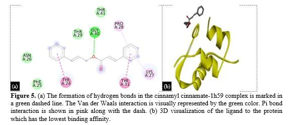 Multitarget Molecular Docking Using Curcuma longa Phytocompounds for Polycystic Ovary Syndrome Treatment 6 figures