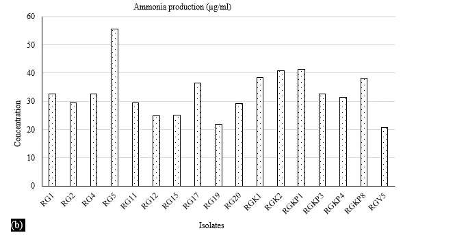 Stimulation of Plant Growth Promoting Rhizobacteria with ZnO Nanoparticles to Improve Growth and Development of Groundnut Plants (Arachis Hypogaea L.) 3 figures
