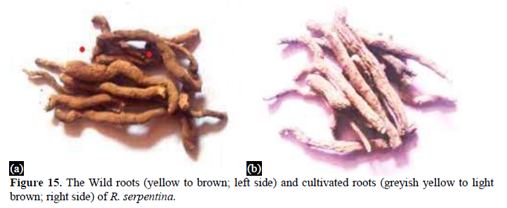 Rauwolfia serpentina: A Comprehensive Phytochemical Study of its Bioactive Metabolites 16 figures