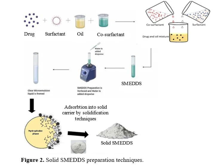 An Insightful Study on SMEDDS Challenges and Potential Strategies 3 figures