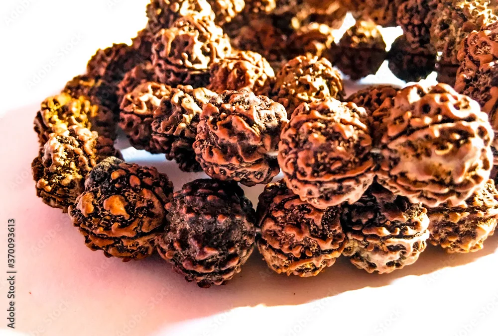 Review on Elaeocarpus Ganitrus (Rudraksha) 1 18b896cb 1000 f 370093613 l4ncdaeudnamo1kf7ohguxxrsbekdz7o jpg
