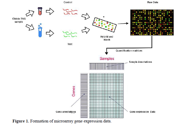 Dimensionality Reduction Techniques and their Applications in Cancer Classification: A Comprehensive Review 1 20164217 fffff